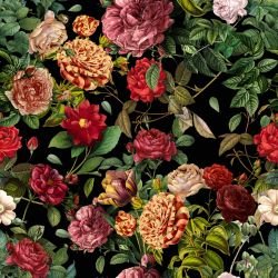 budding romance black 