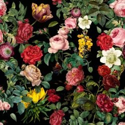 grandiose garden blooms black 