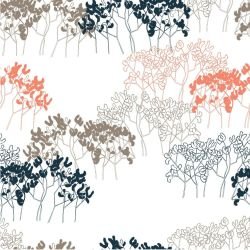 bushland blooms kangaroo paw outline