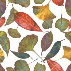 bushland blooms rainbow autumn leaves