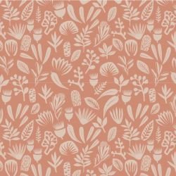 coastal bushwalk desert