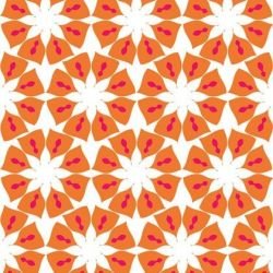 la paradiso  sc galleria deluxe tsatsuma