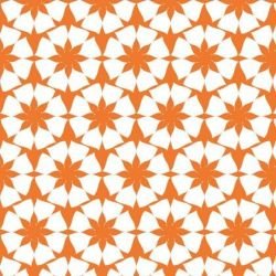 la paradiso  sc galleria reverse tsatsuma