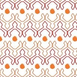 la paradiso  sc tribal dance fireflies