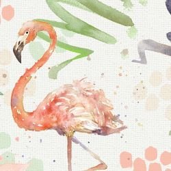 watercolour wonders flamingo coral detail