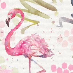 watercolour wonders flamingo olive detail