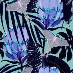 floral firework madagascan protea azure