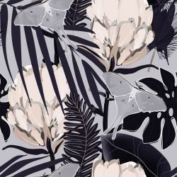 floral firework madagascan protea shadow