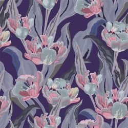 floral firework tulip allure darwin