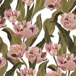 floral firework tulip allure white