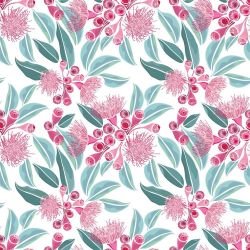 australian summer flowering eucalyptus berry