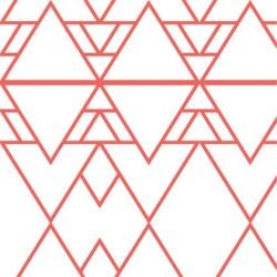 kgbasics morocco coralreef