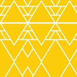 kgbasics morocco reverse daffodil