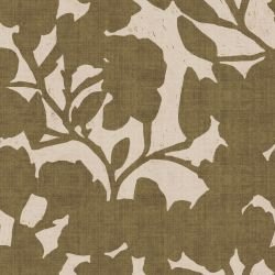 magnolia shapes olive