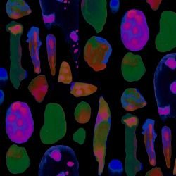 artistic expressions artistic freedom night club