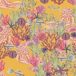 ocean life ocean life sunny day