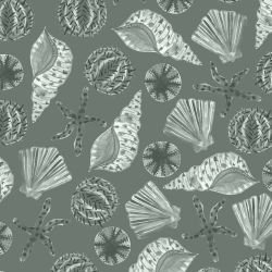 ocean life she shells sea shells olive