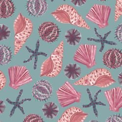 ocean life she shells sea shells sage