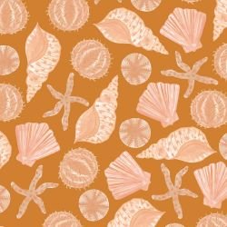 ocean life she shells sea shells sandy