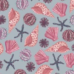 ocean life she shells sea shells teal