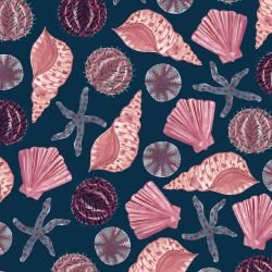 ocen life she shells sea shells original