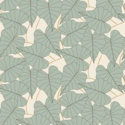 wild fronds ivy foilage spring