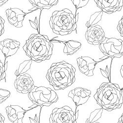 flower spray endless love black white