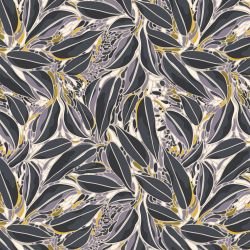 australian summer bluegum leaves oberon