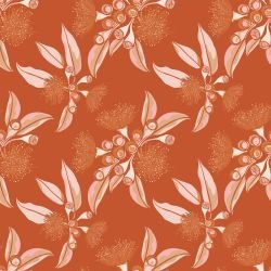 australian summer eucalyptus blossom sturt