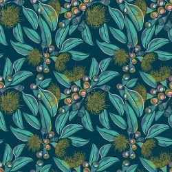 australian summer flowering eucalyptus quetzal