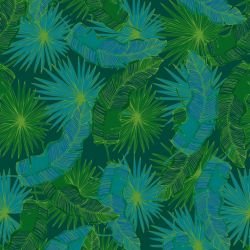 fronds falling fronds mangrove