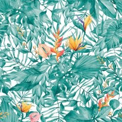 animal tropics jungle coverage peacock