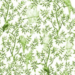 animal tropics perching parrots evergreen