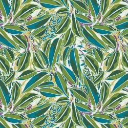 australian summer bluegum leaves poppy