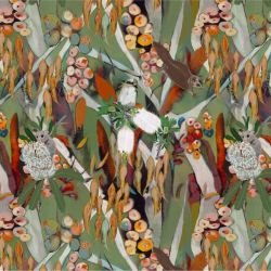 native fauna animal canopy