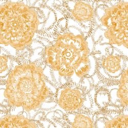 australian summer garden flower glow orange