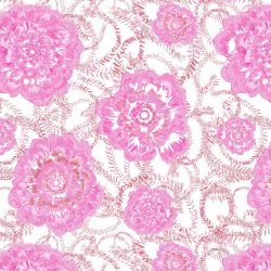 australian summer garden flower glow pink