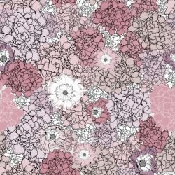 australian summer garden flower power fuchsia