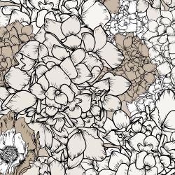 australian summer garden flower power sepia detail