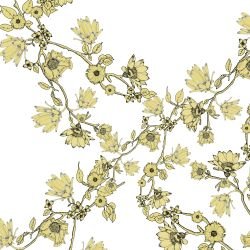 australian summer garden flower ranking soft yellow