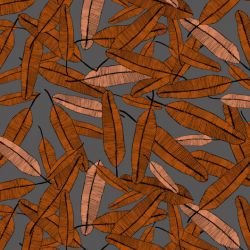 fronds floating feather autmun