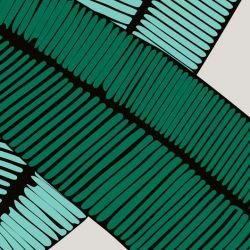 fronds floating feather lush detail