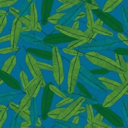 fronds floating feather mangrove