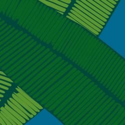 fronds floating feather mangrove detail