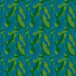 fronds leaf overlay mangrove