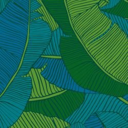 fronds leaf overlay mangrove detail