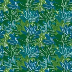 fronds lily frond mangrove