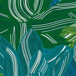 fronds lily frond mangrove detail