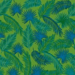 fronds palm spray mangrove