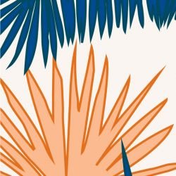 fronds palm spray winterlight detail